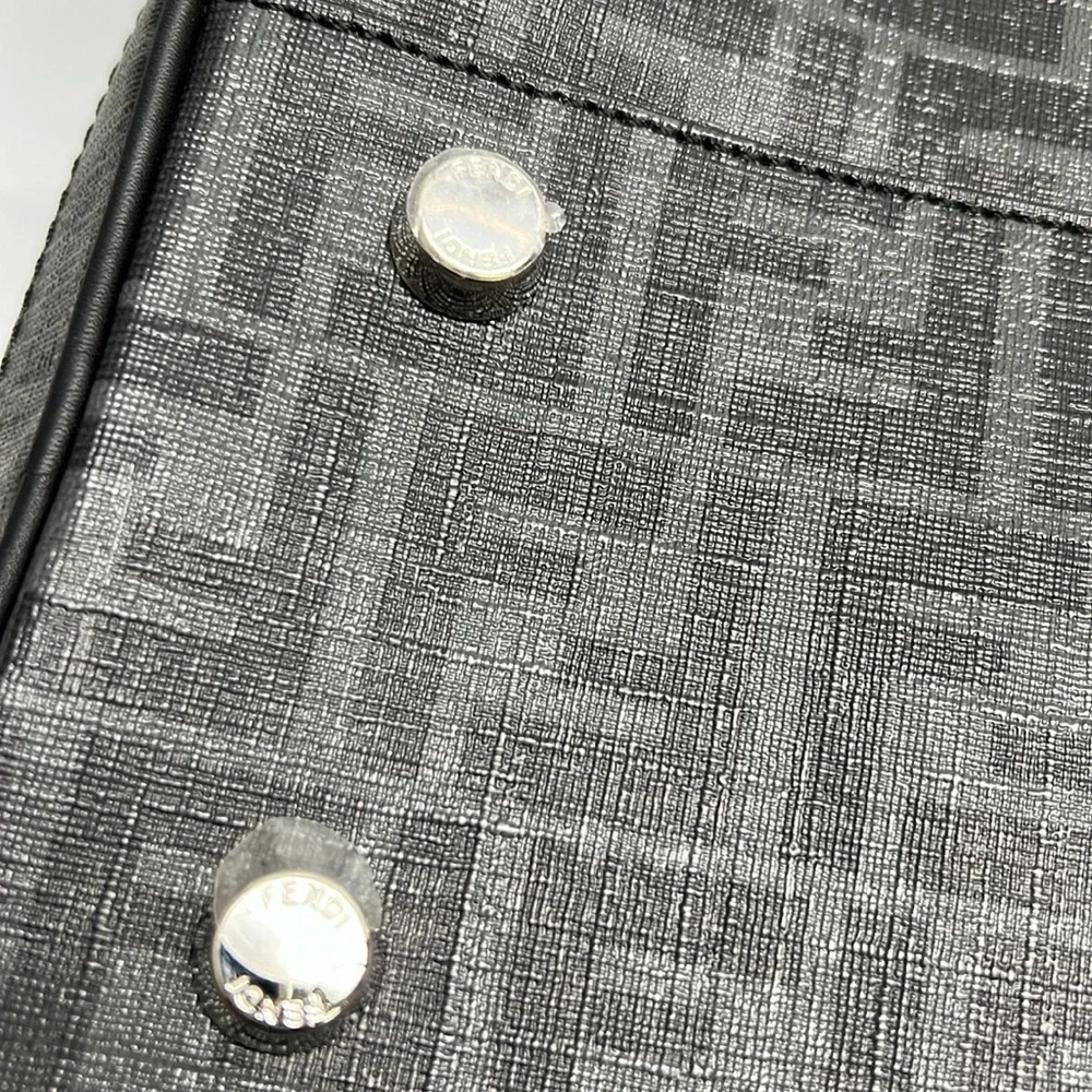 FENDI pet carrier